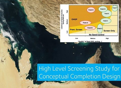 High Level Screening Study for Conceptual Completion Design